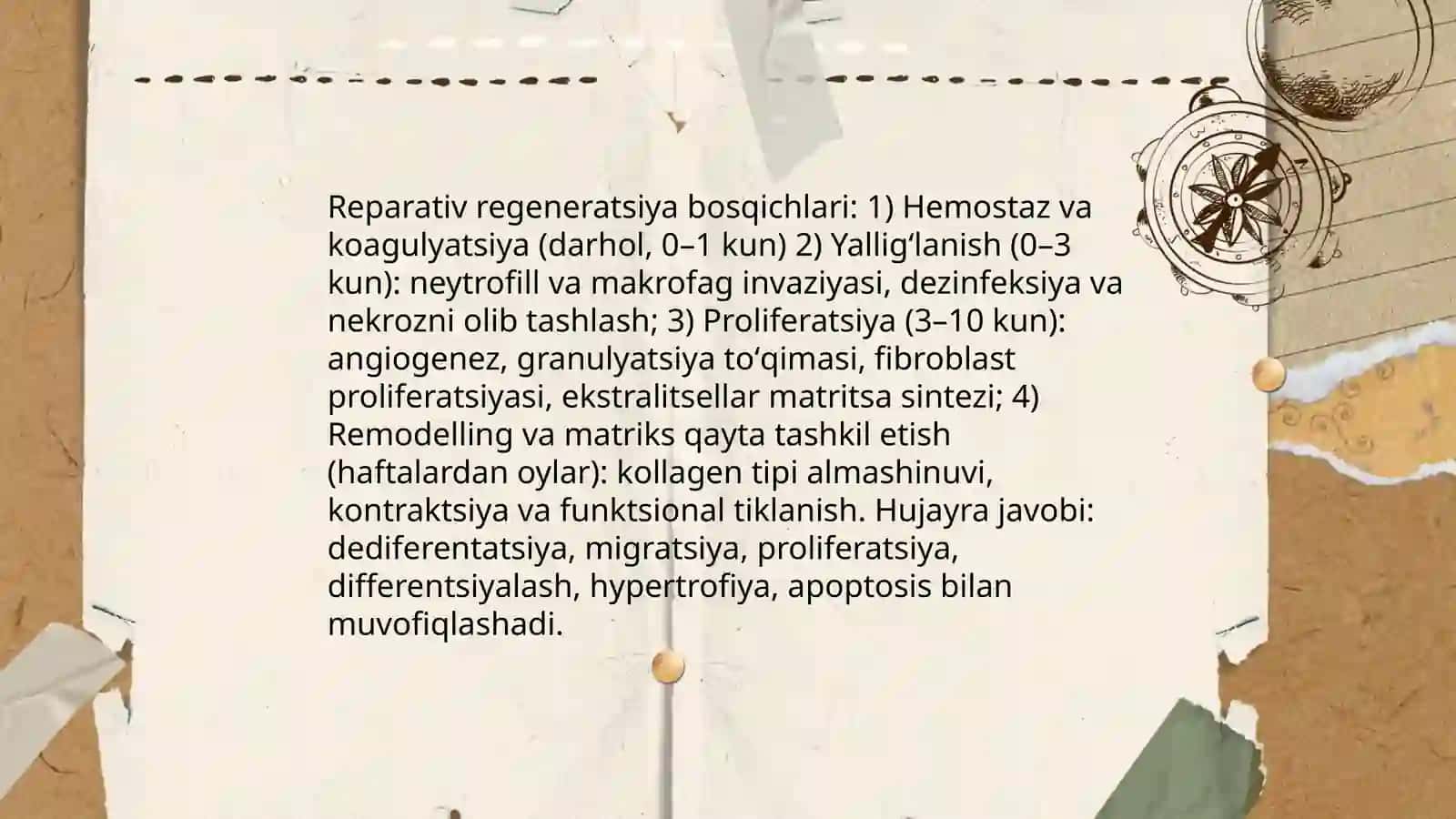 Toqimalarning fiziologik Va reprativ regeneratsiyasi toqimalar ozgaruvchanligi chegaralari 4