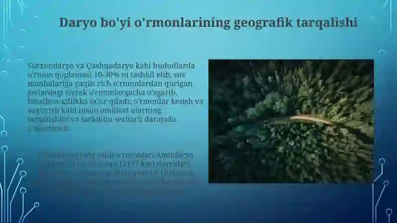 O'zbekiston to‘qay o'rmonlari. Dendrologik tarkibi 4