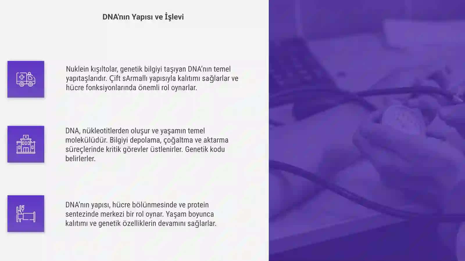 Nuklein kislotalar 4