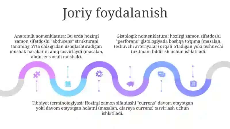 Anatomik Va Gistalogik Nomenklaturalarida Qo'Llaniladigan Hozirgi Zamon Sifatdoshining Aniqlik Nisbati 4