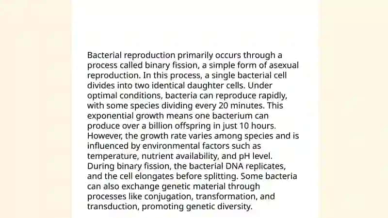Bacteria 4