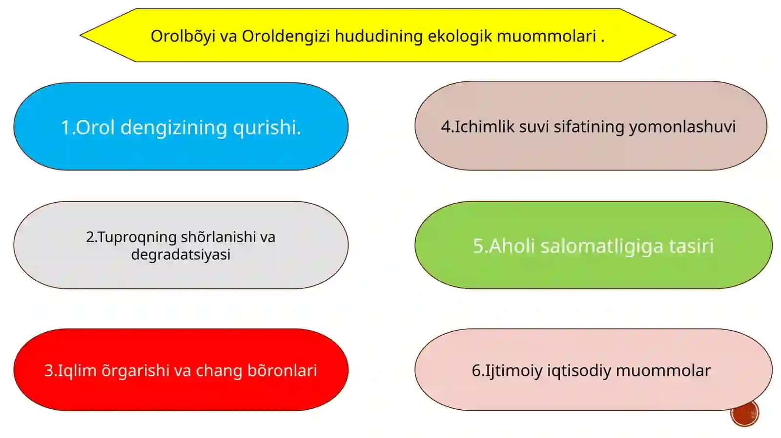 Orol dengizi va Orolboʻyi hududining ekologik muommolari hamda ularning oldini olish 4