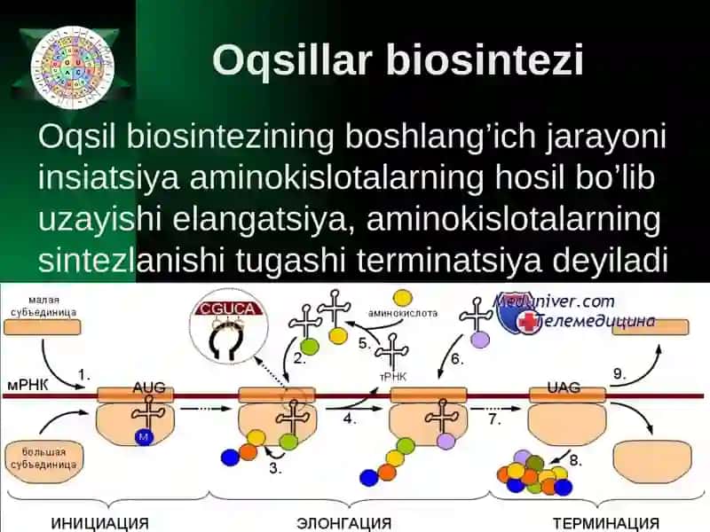 Plastikalmashinuv 4