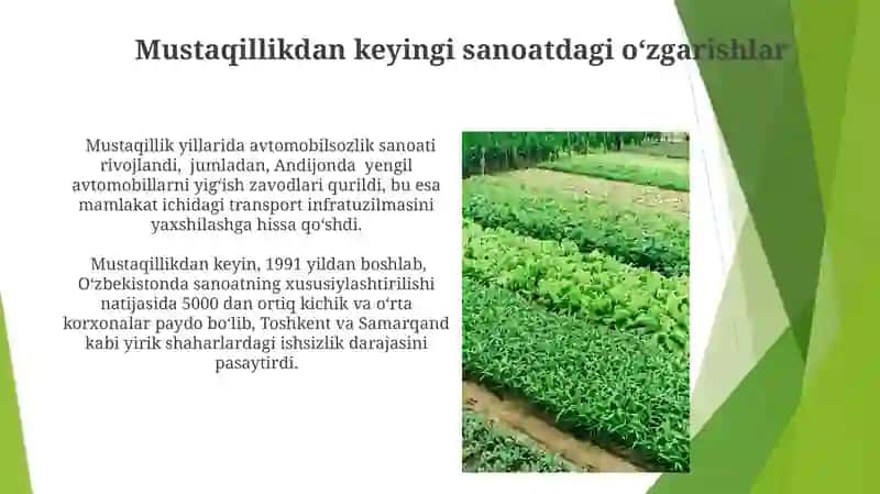 Mustaqillikdan keyingi qishloq xo'jaligidagi o'zgarishlar 4