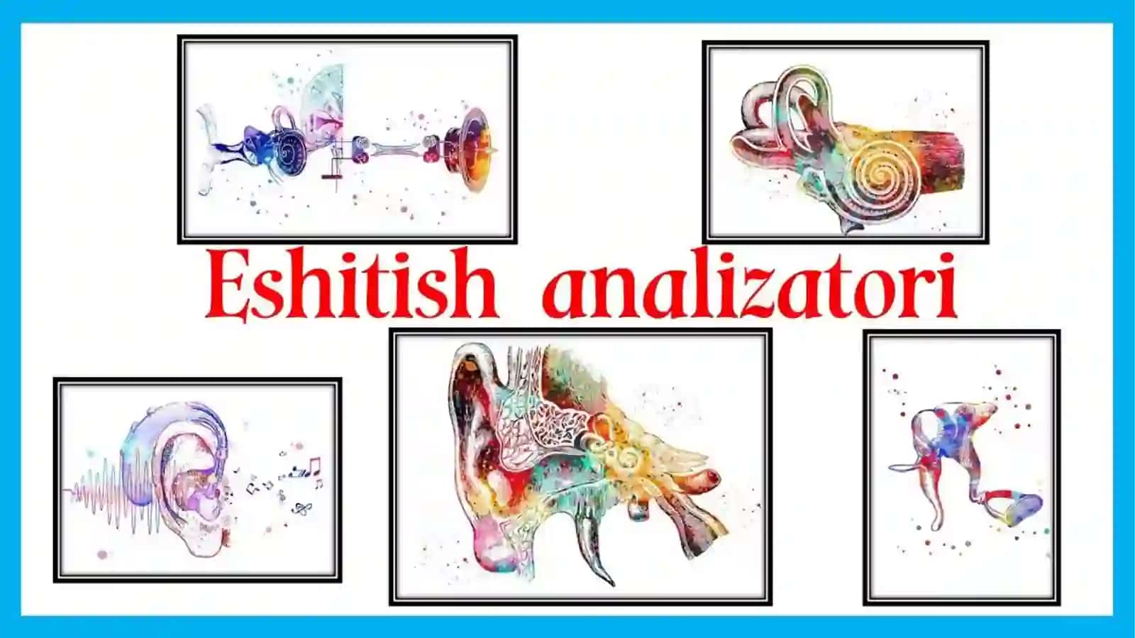 EshituvvaVestibulyaranalizatorlarvaichkia`zolarningo`zarobog`liqligi 4