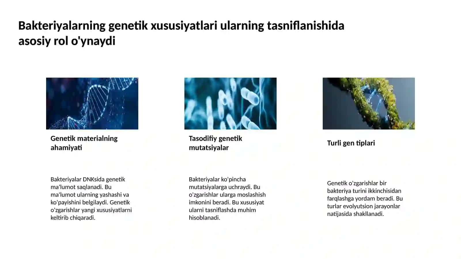 Bakteriyalarning klassifikatsiyasi toksonomiyasi va nomenklaturasi 4