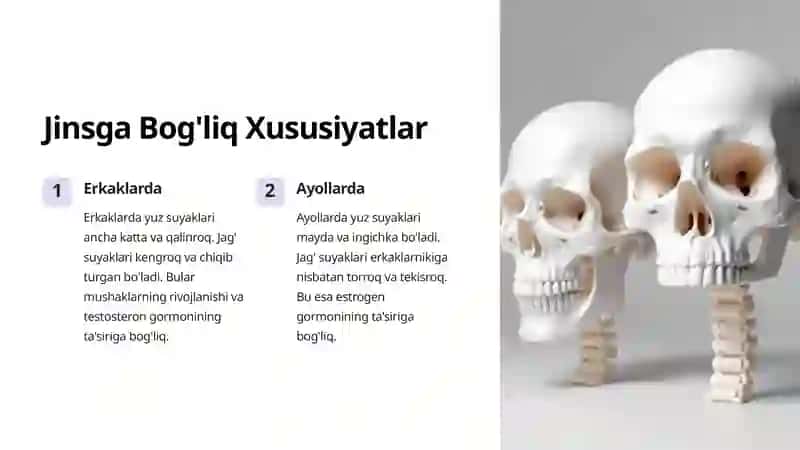 Yuz Suyaklari: Yosh va Jins Xususiyatlari va Anomaliyalari 4