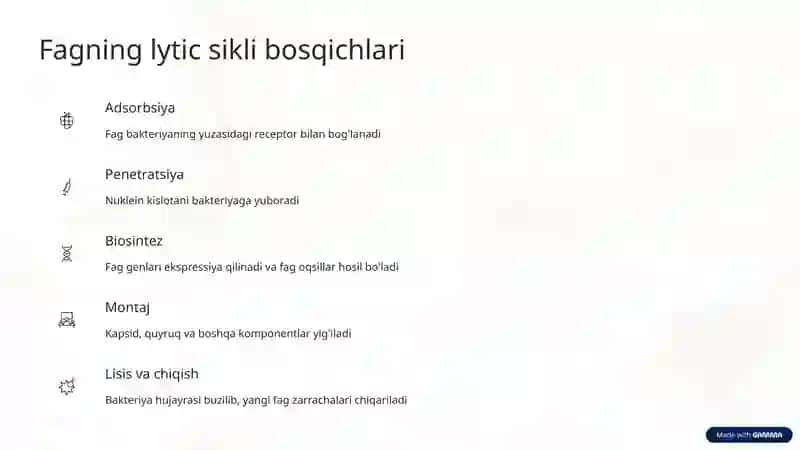 Bakteriofaglar va antibiotiklar, ularning tibbiyotdagi qo'llanilishi 4