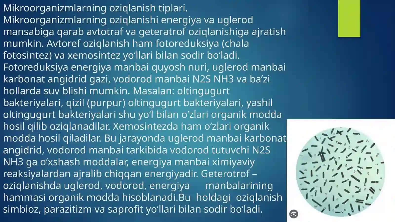 Mikroorganizmlar fiziologiyasi 4