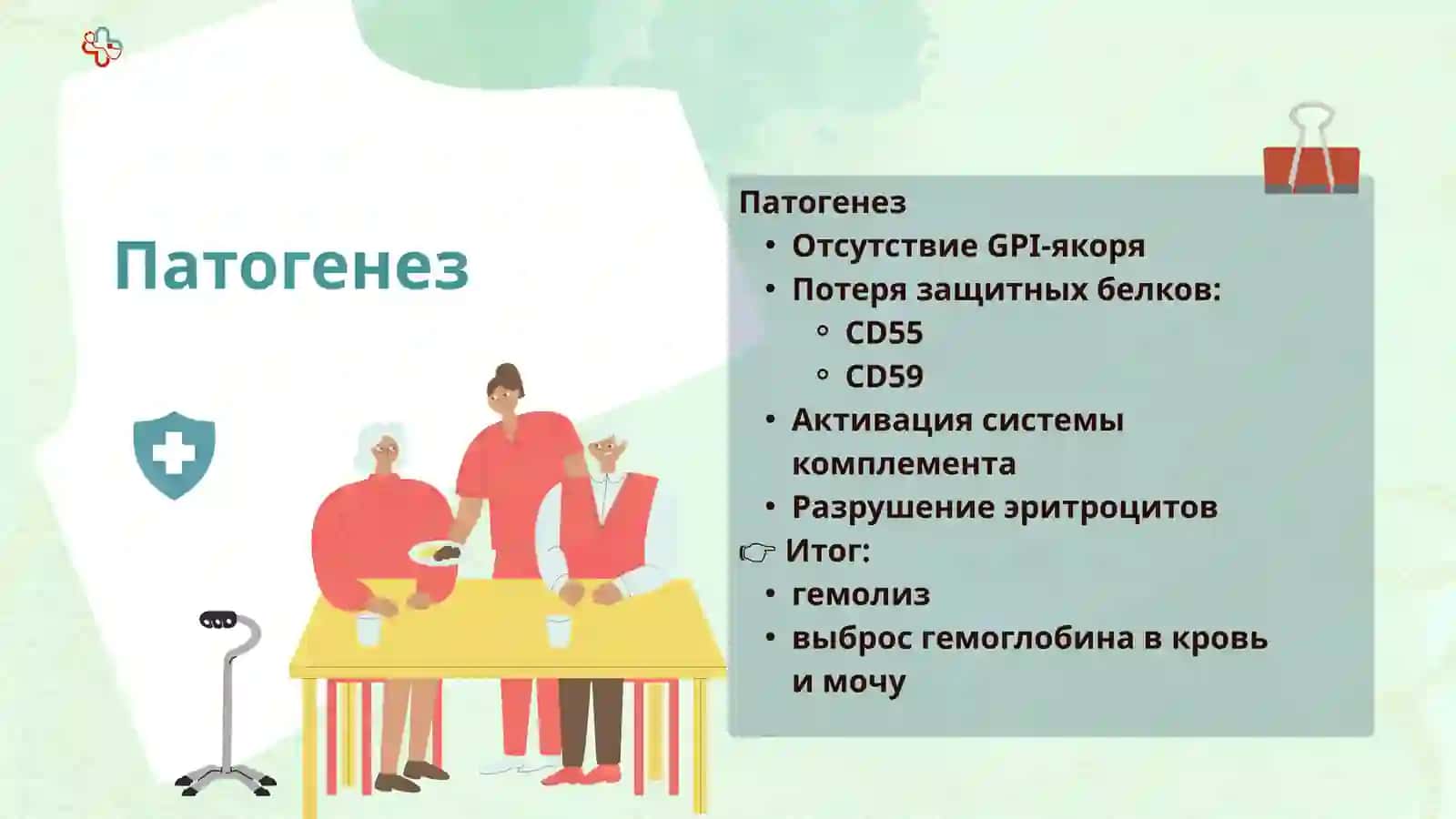 Пароксизмальная ночная гемоглобинурия(ПНГ) или болезнь Маркиафавы-Микели 4