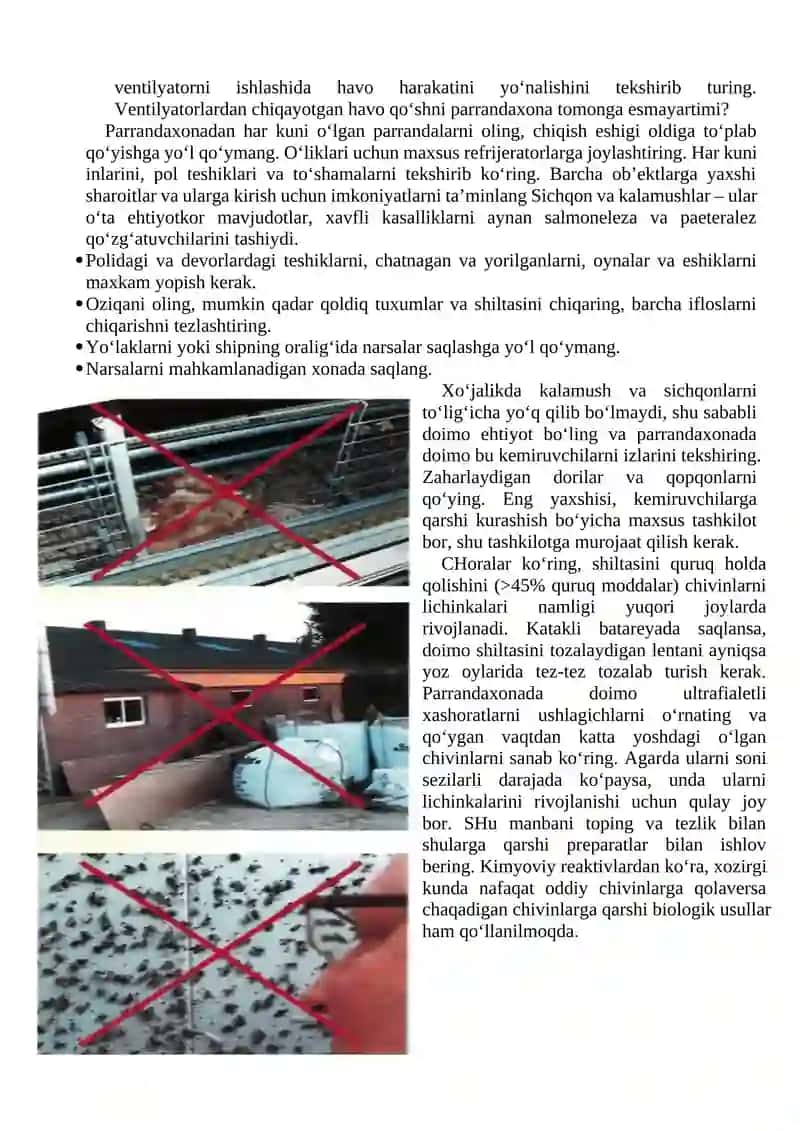 Jo’jalarni o’stirishda zootexniya va veterinariya tadbirlarini o’tkazish tartibi 4