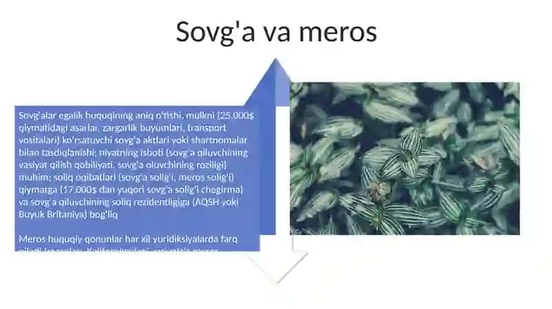 Tovar moddiy zaxiralarga egalik huquqini aniqlash 4