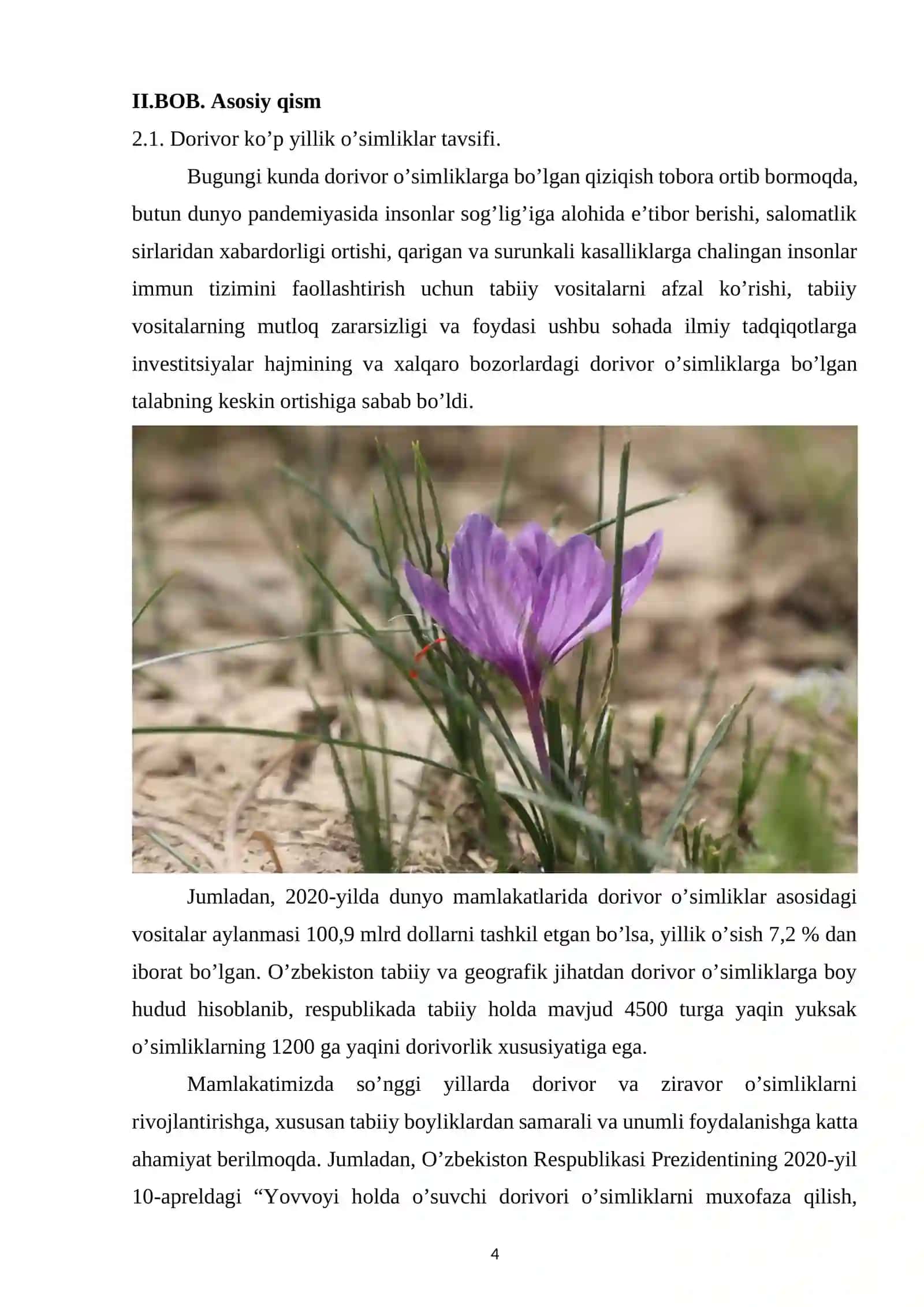 Dorivor o’simliklar tavsifi 4