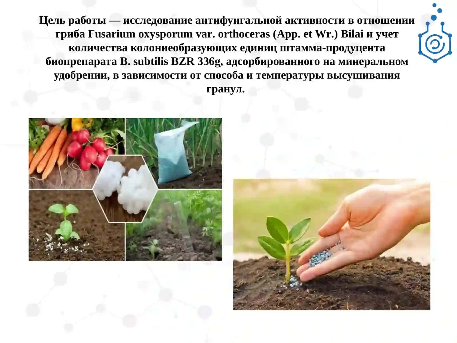 ИССЛЕДОВАНИЕ АКТИВНОСТИ ШТАММА BACILLUS SUBTILIS BZR 336G 4