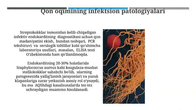 Yurak qon tomir sistemasiga taʼsir qiluvchi mikroorganizmlar, patogenez, labaratoriya tashxisi 4