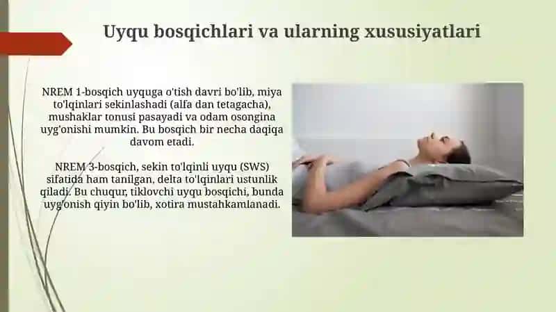 Uyquning fiziologik asoslari 4