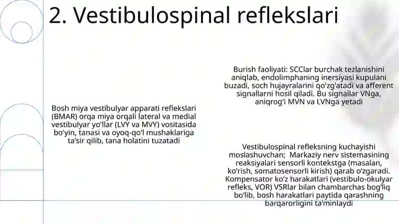 Qon aylanish fizyalogiyasi 4
