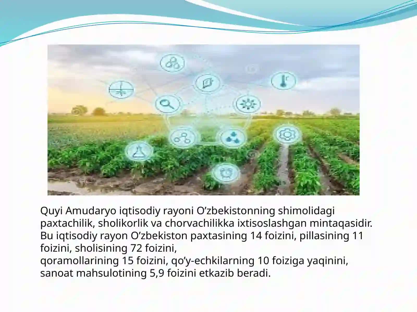 Quyi amudaryo iqtisodiy mintaqasining iqtisodiy salohiyati 4