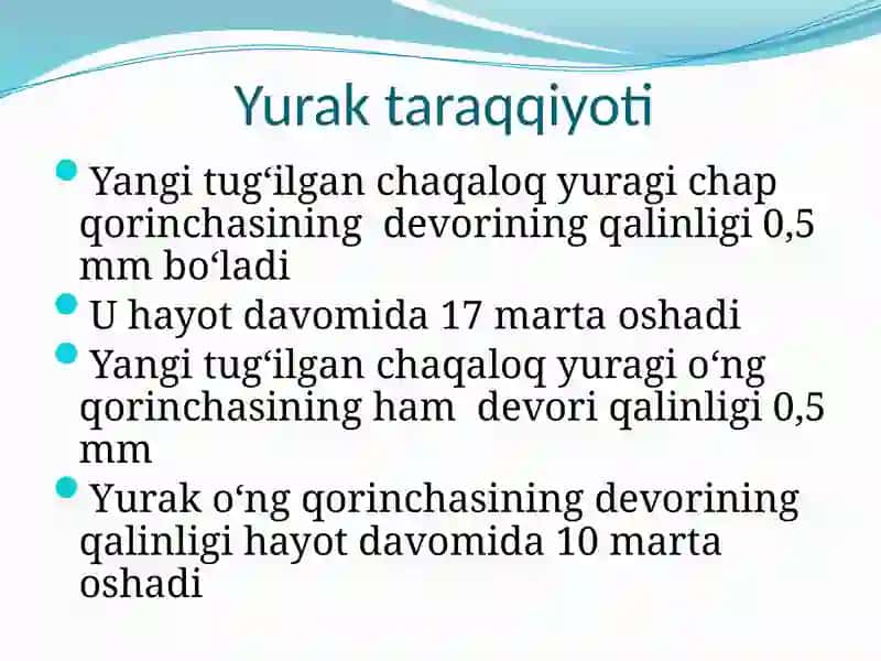 Yurak anatomiya va fiziologiyasi 4