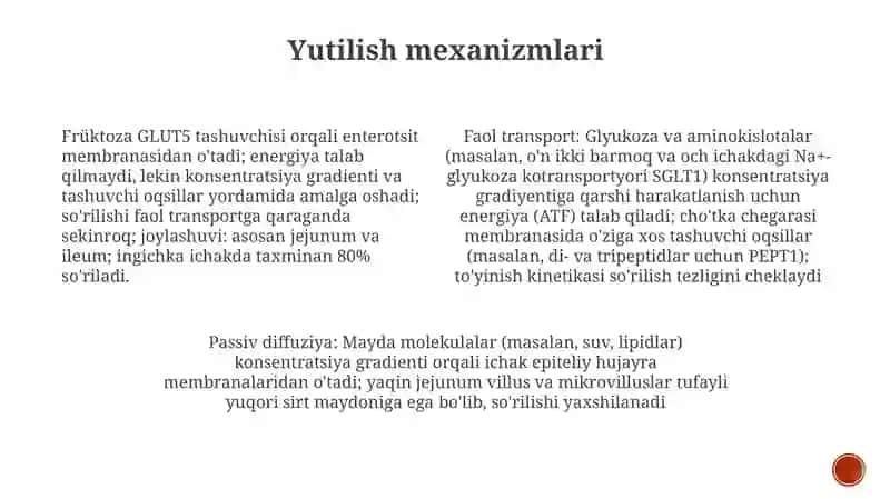 Qizilo'ngach 4