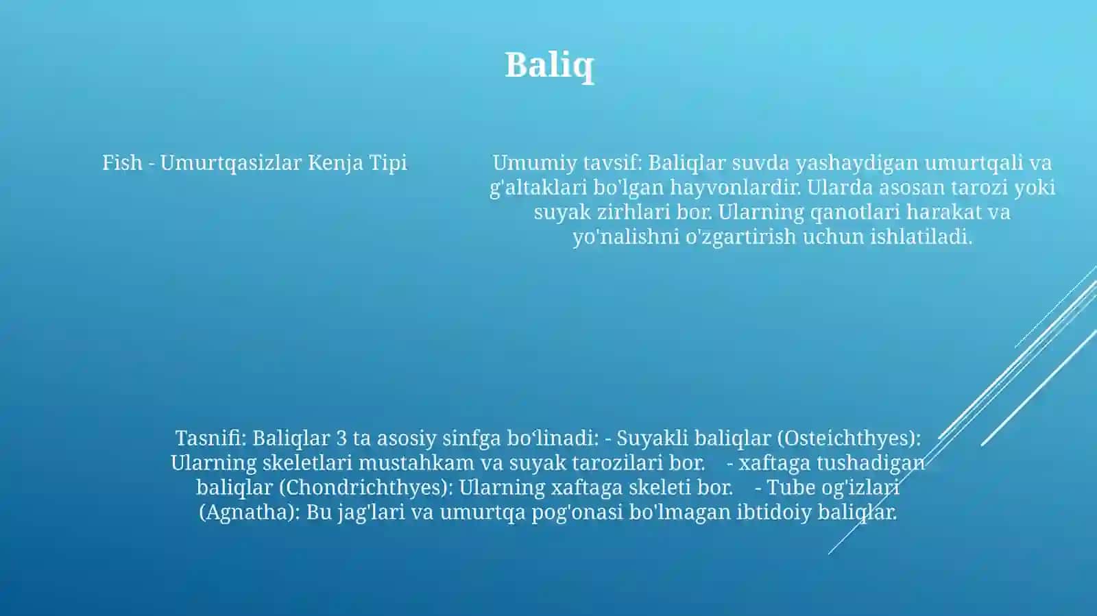Umurtqalilar Kenja Tipining Umumiy TavsifiVaTasnifi 4