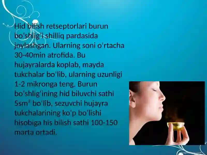 HID BILISH ORGANINING TUZULISHI VA REGENERATSIYASI 4