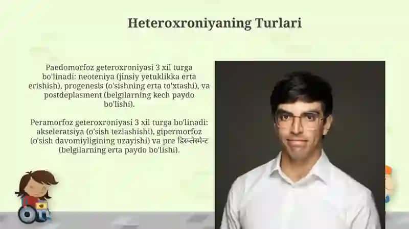 O'sish va rivojlanish geteroxroniyasi 4