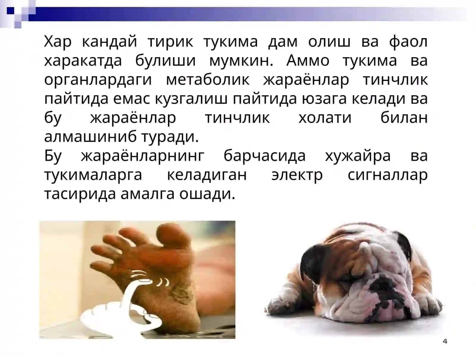 Кузгалувчан тукималар ва уларда биоэлектрик ходисалар 4
