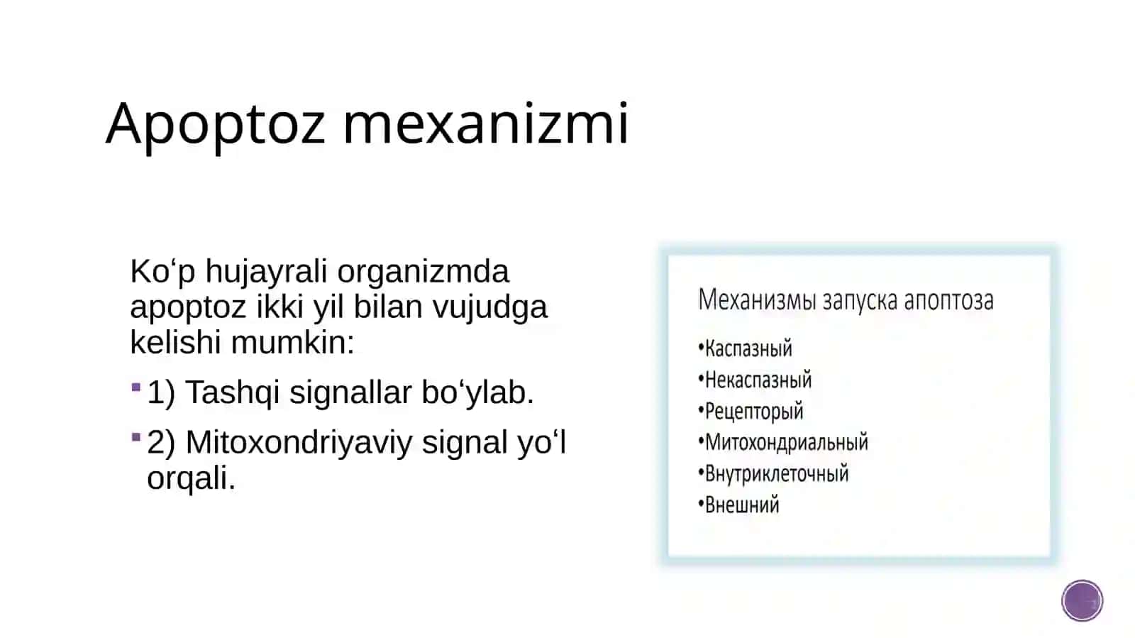 MOLEKULYAR BIOLOGIYA–2qism 4
