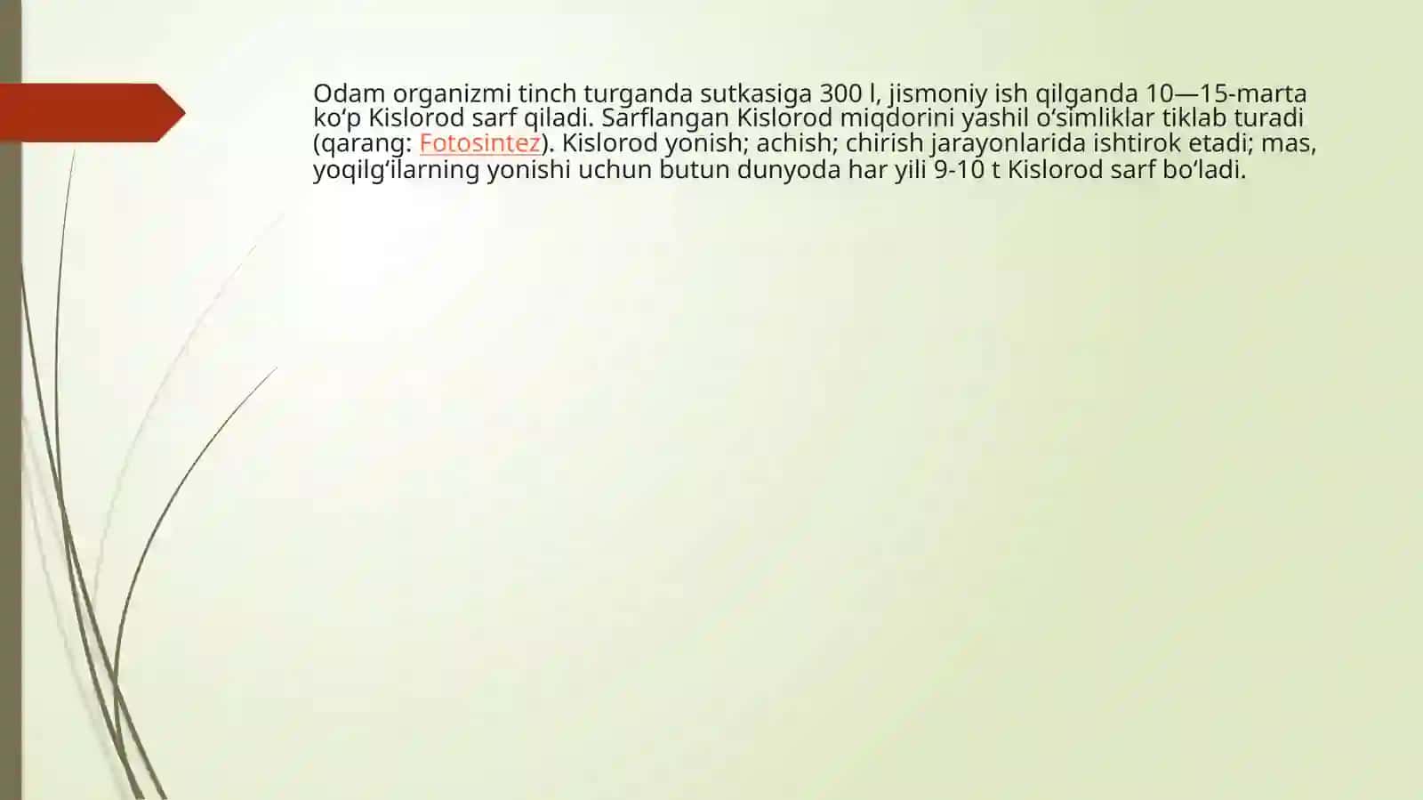 Kislorod 4