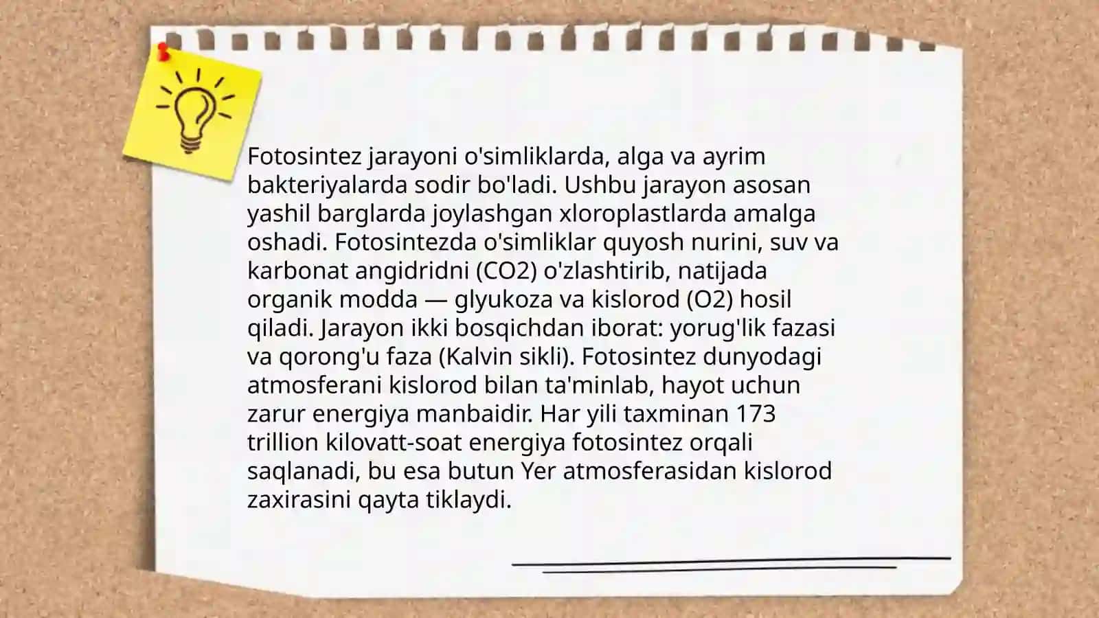 Yem-xashak ekinlari fiziologiyasi 4