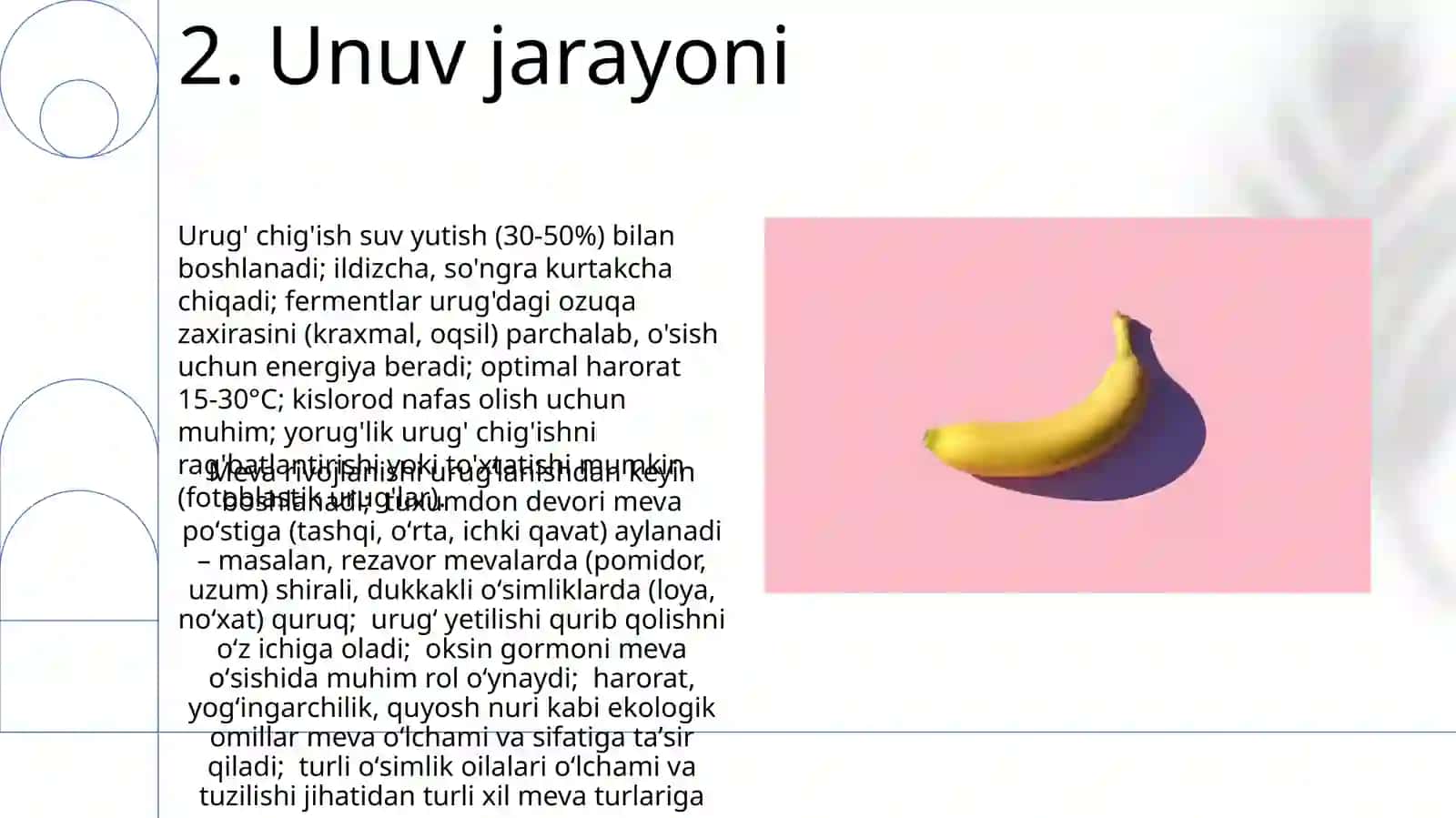 Urugʻ va meva Urugʻning rivojlanishi 4