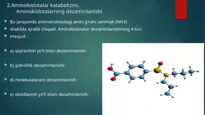 Aminokislotalar almashinuvining umumiy va xususiy yo’llari. 4
