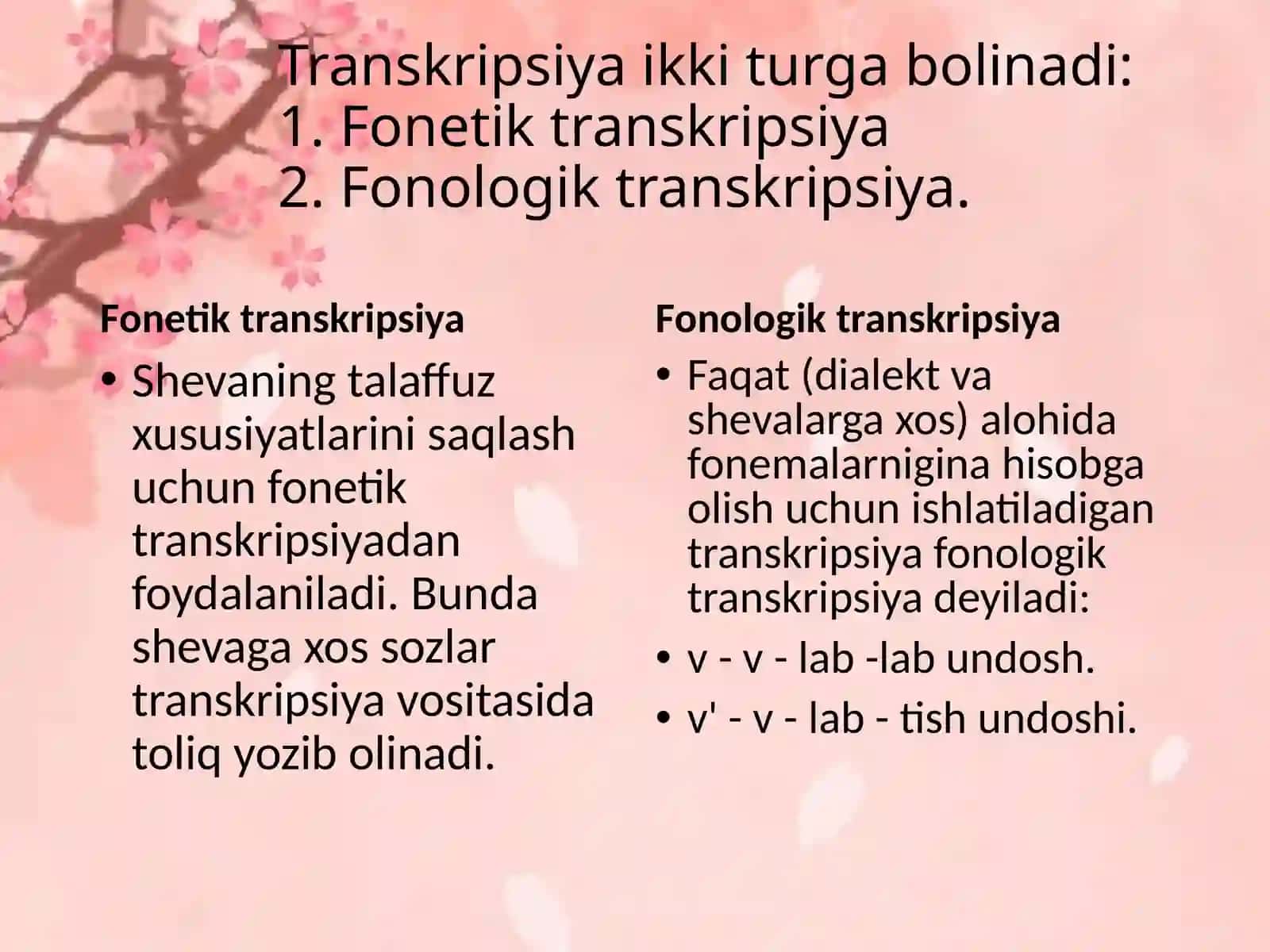 Turkiy tillar va lahjalarni o‘rganishda rus turkologlari tomonidan qo‘llanilgan transkripsiyalar 4