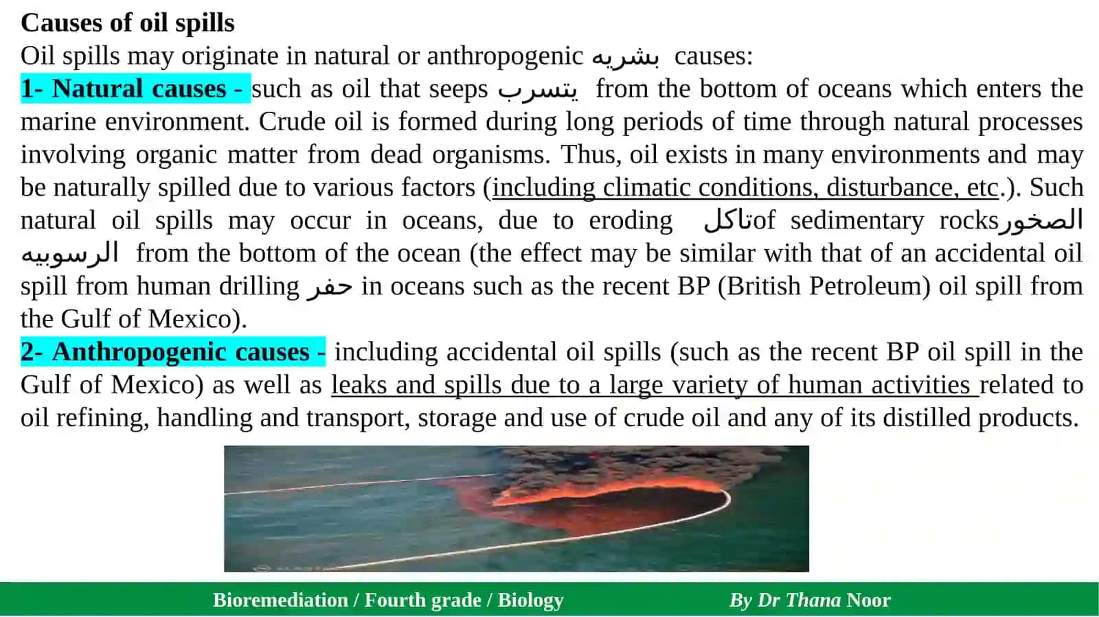 Bioremediation / Fourth grade / Biology By Dr Thana Noor 4