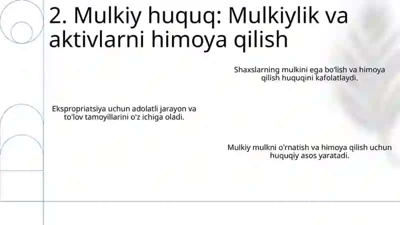 Yangi Konstitutsiyada fuqarolarning huquq va erkinliklar kafolati 4