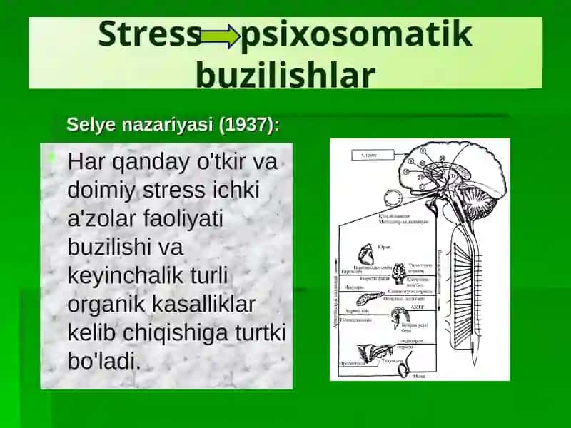 PSIXOSOMATIK KASALLIKLAR 4