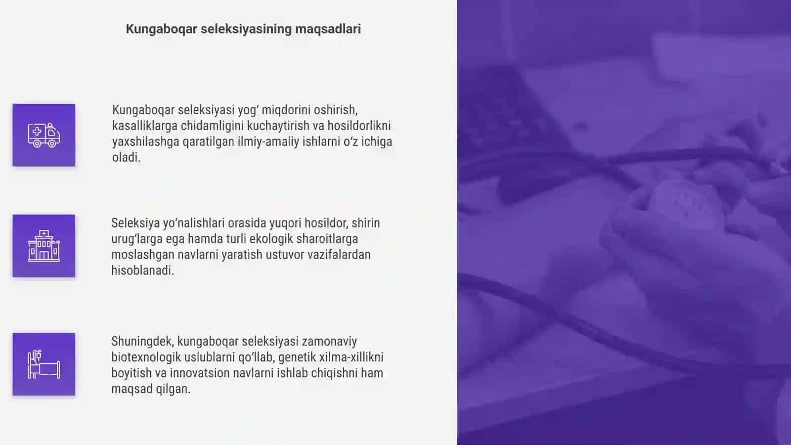 Kungaboqar seleksiyasining yoʻnalishlari 4
