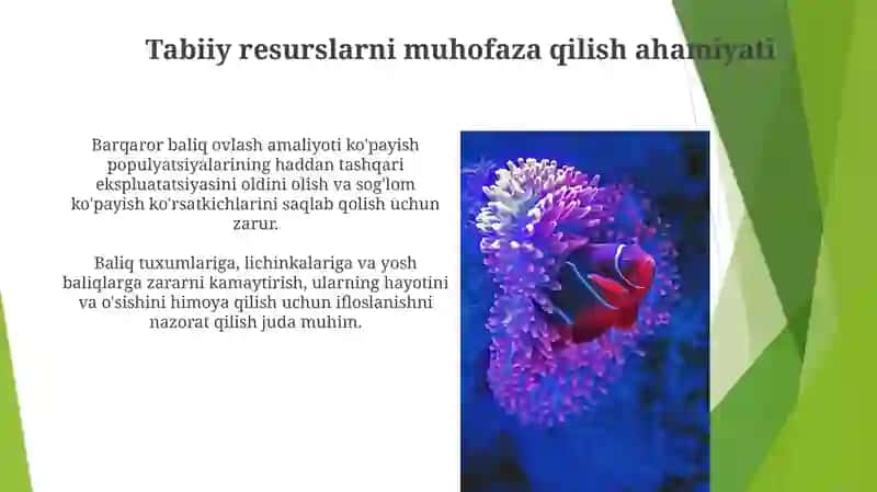 Baliqlarning koʻpayishi va rivojlanishi 4