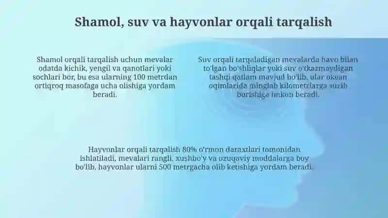 Mevalarni mexanik va biologik tarqalish usullariga qarab guruhlash va kòrgazma qilish 4
