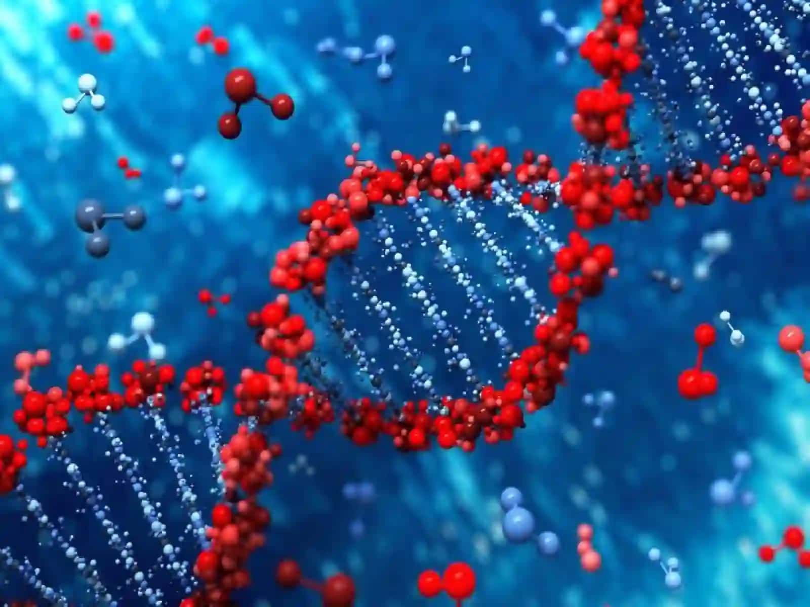 9-sinf Biologiya fanidan Moddalar almashinuvi dars taqdimot 4