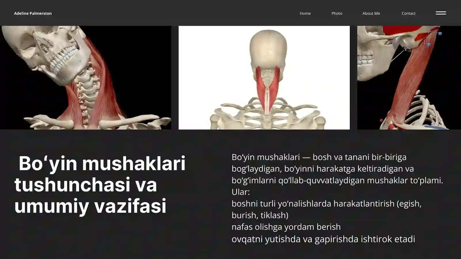 Boʻyin mushaklari FIZIOLOGIYASI 4