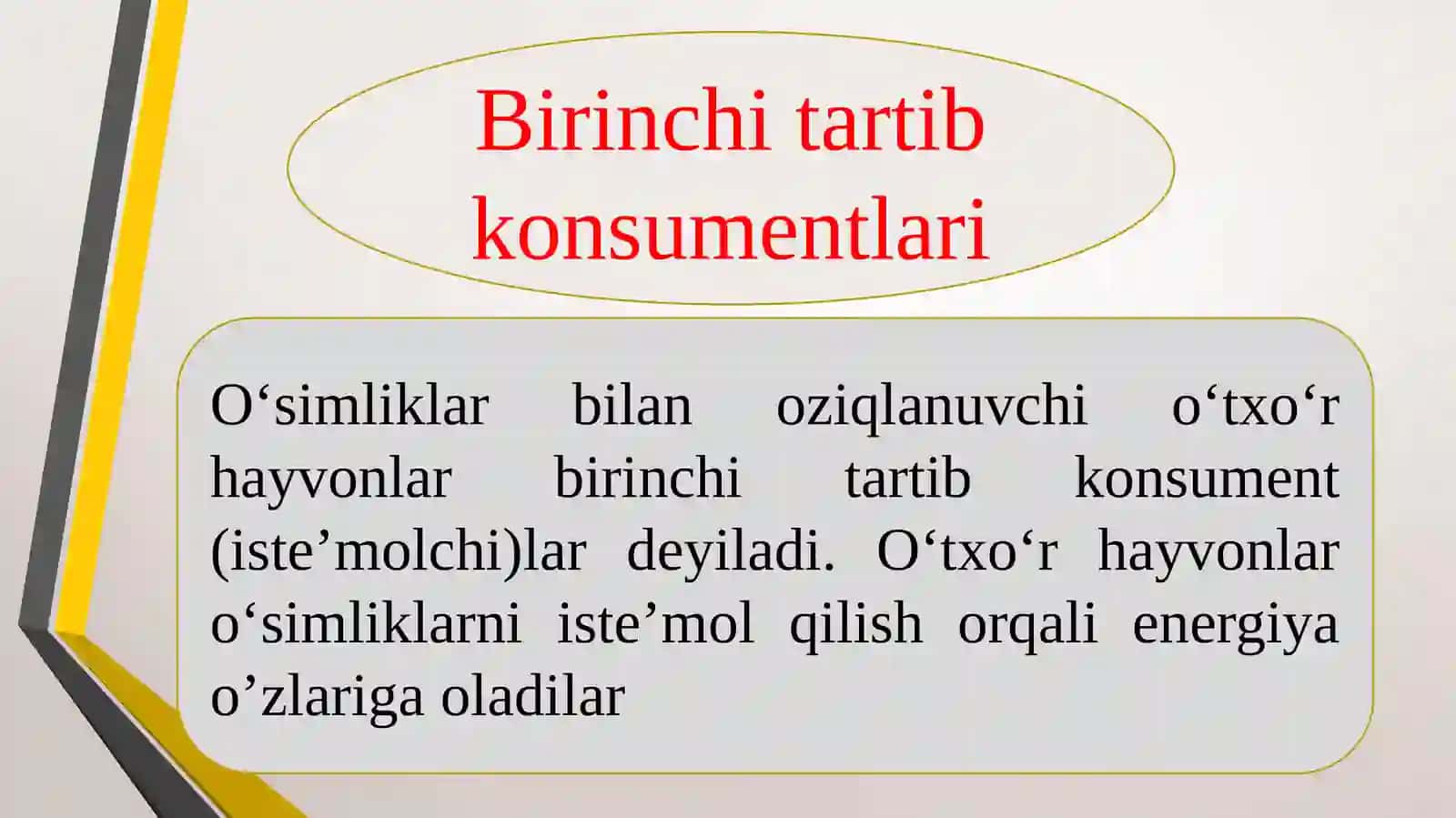 Ekosistemalarda energiya oqimi 4