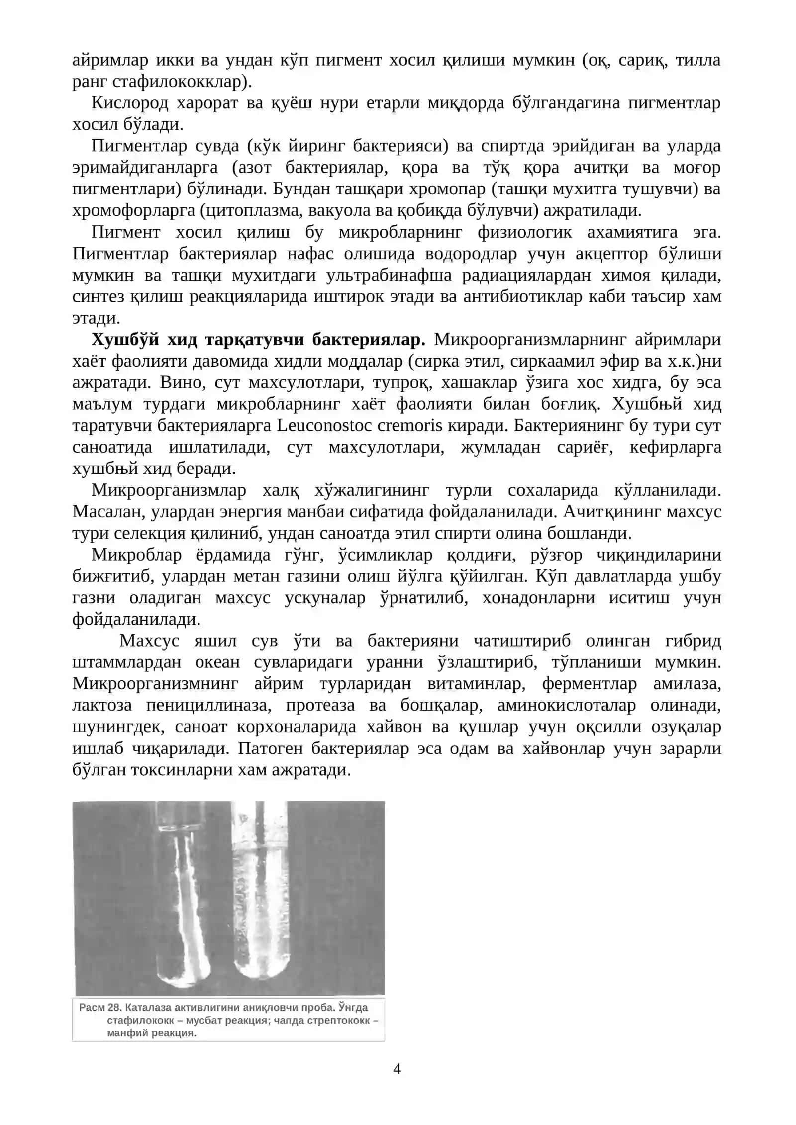Микроорганизмларни хаёт фаолияти махсулотларини (пигментлар, ферментлар, ароматик моддалар, токсинлар ва бошқ.) идентификацияда қўлланилиши 4
