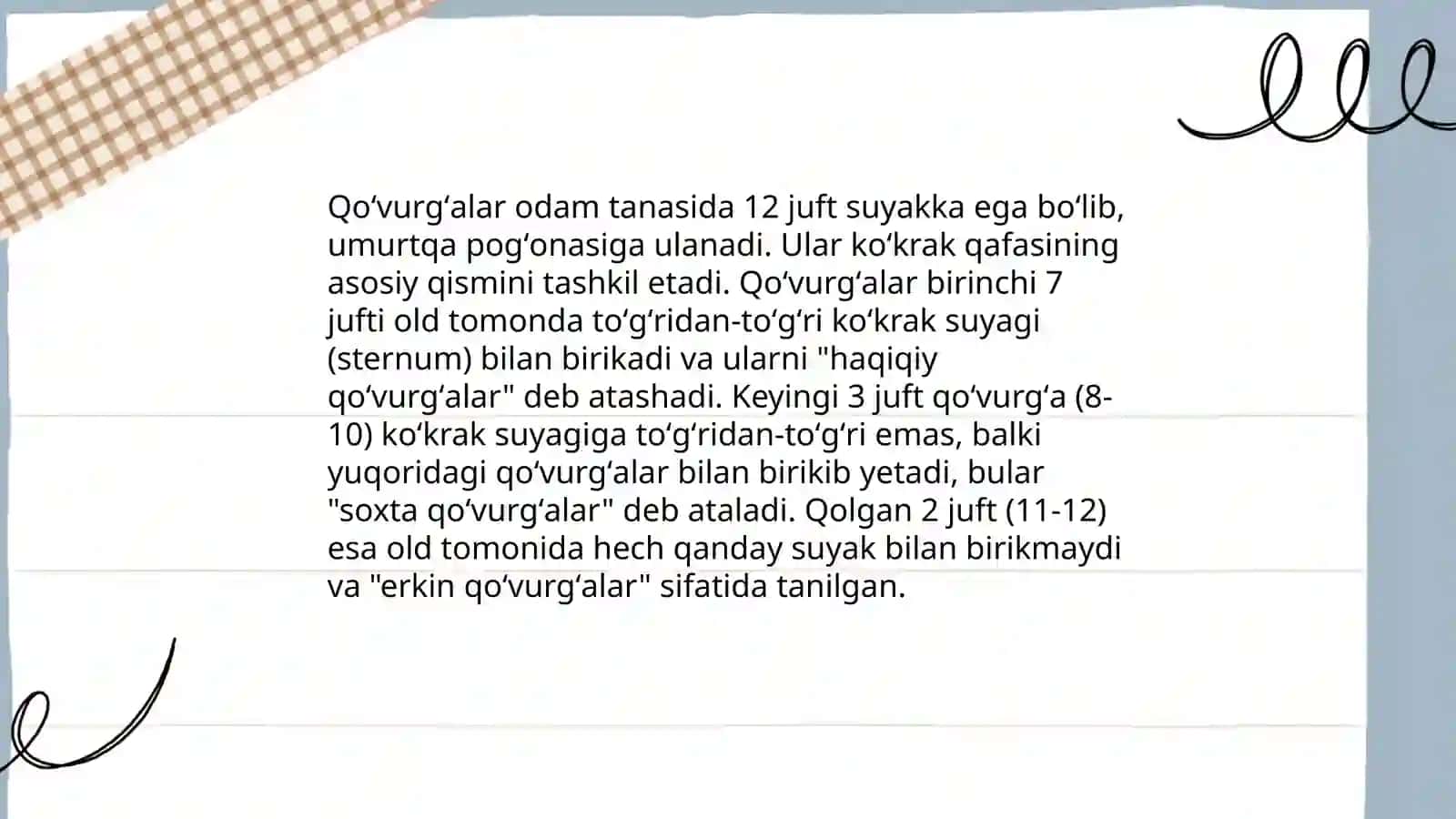 Umurtqa pogʻonasining anatomiya asoslari 4
