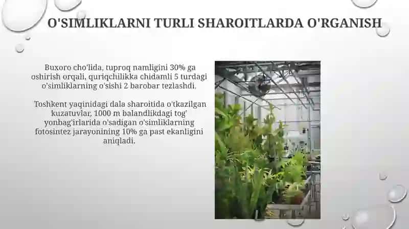 O'simliklarni turli muhit sharoitida o'stirib o'rganamiz 4