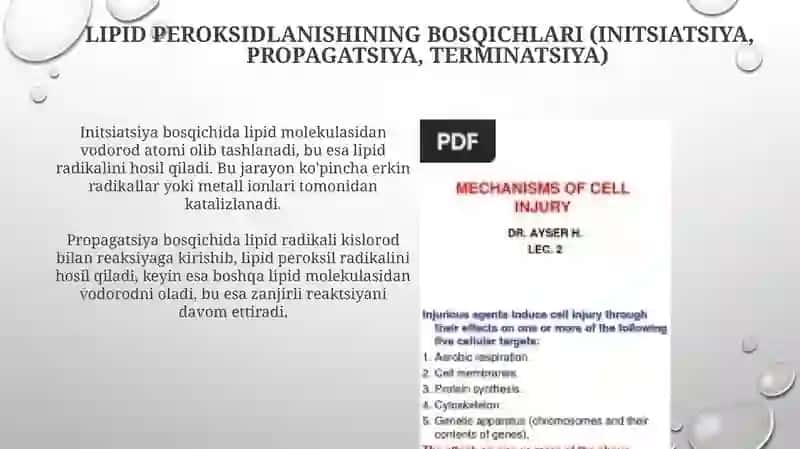 Lipidlarning peroksidlanishi va hujujaylashikastlanishi 4