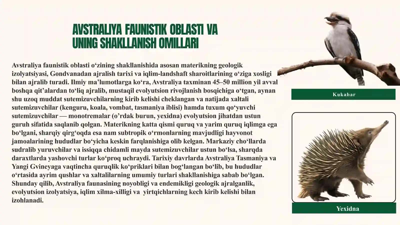 AVSTRALIYA FAUNISTIK OBLASTI 4