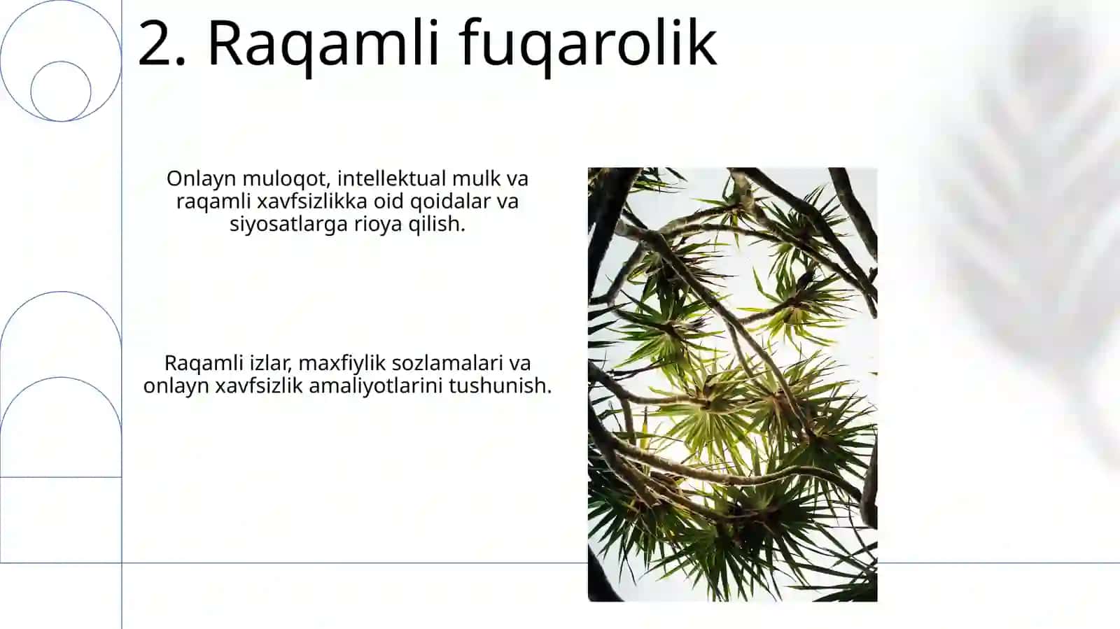 Tarmoq odob ahloqi 4