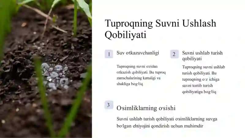 Tuproqning Umumiy Fizikaviy Xossalari va Strukturasi 4